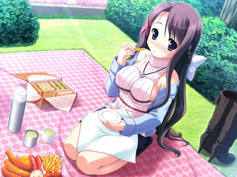 (18禁ゲームCG) [071026][SkyFish]はるかぜどりに、とまりぎを 346/680 