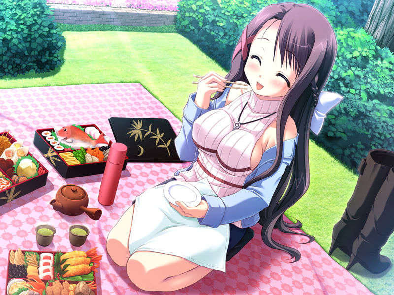 (18禁ゲームCG) [071026][SkyFish]はるかぜどりに、とまりぎを 349/680 