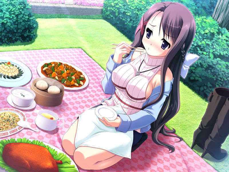 (18禁ゲームCG) [071026][SkyFish]はるかぜどりに、とまりぎを 355/680 