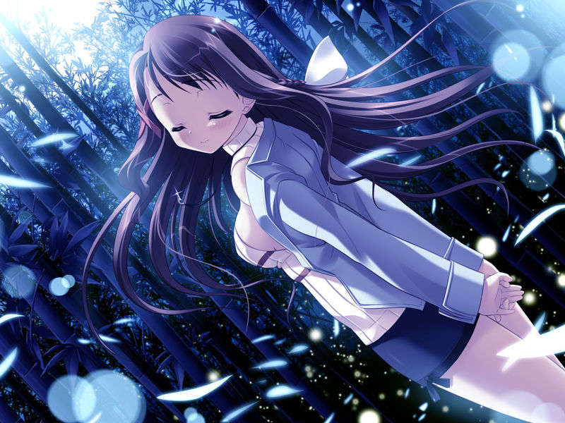 (18禁ゲームCG) [071026][SkyFish]はるかぜどりに、とまりぎを 357/680 