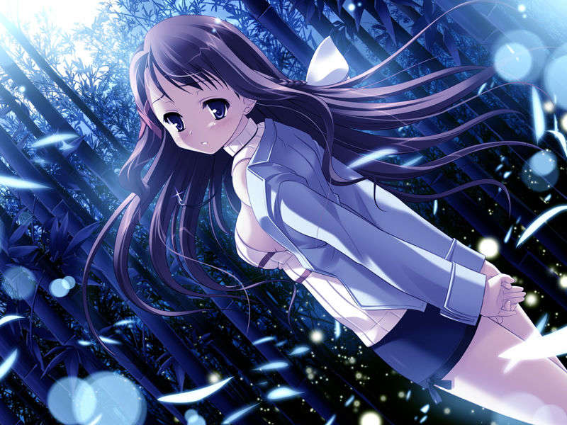 (18禁ゲームCG) [071026][SkyFish]はるかぜどりに、とまりぎを 358/680 