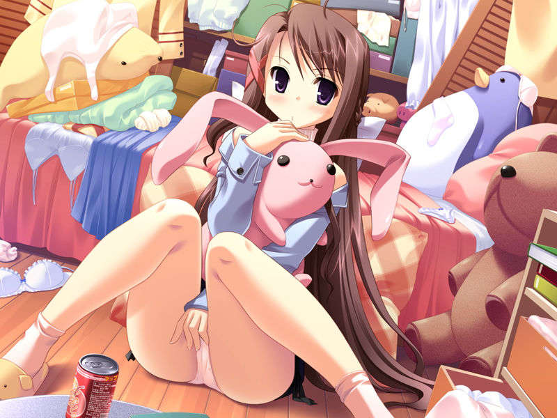 (18禁ゲームCG) [071026][SkyFish]はるかぜどりに、とまりぎを 360/680 