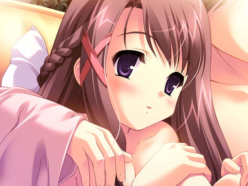 (18禁ゲームCG) [071026][SkyFish]はるかぜどりに、とまりぎを 367/680 