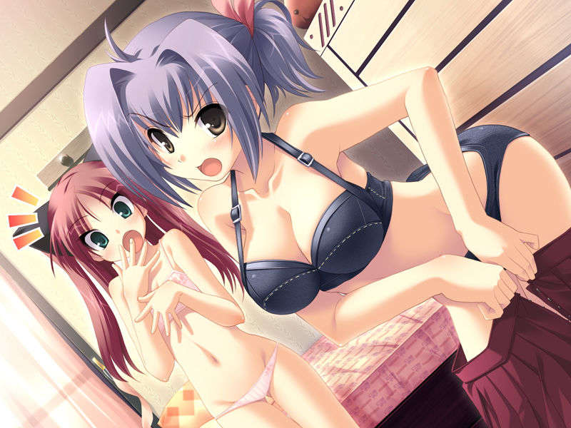 (18禁ゲームCG) [071026][SkyFish]はるかぜどりに、とまりぎを 435/680 