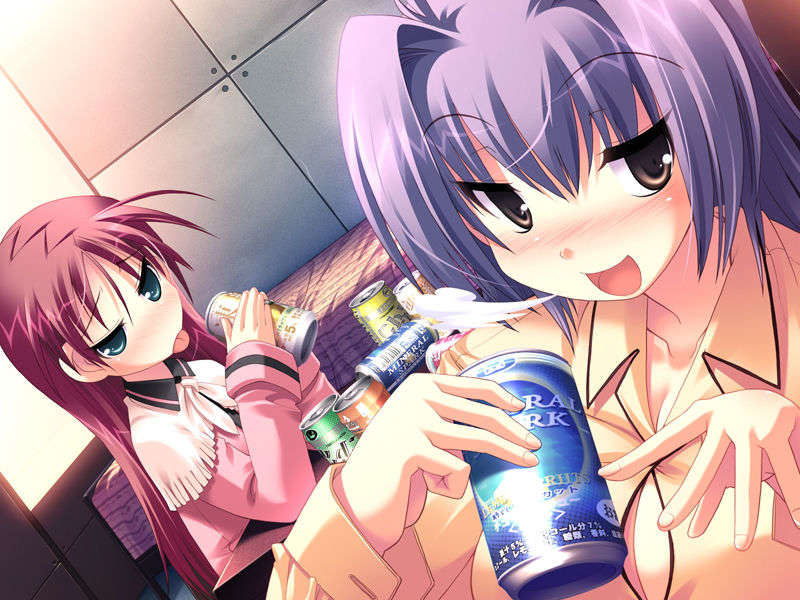 (18禁ゲームCG) [071026][SkyFish]はるかぜどりに、とまりぎを 437/680 