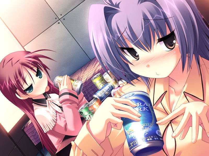 (18禁ゲームCG) [071026][SkyFish]はるかぜどりに、とまりぎを 438/680 