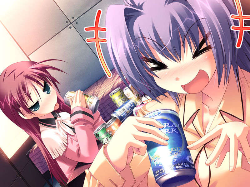 (18禁ゲームCG) [071026][SkyFish]はるかぜどりに、とまりぎを 439/680 