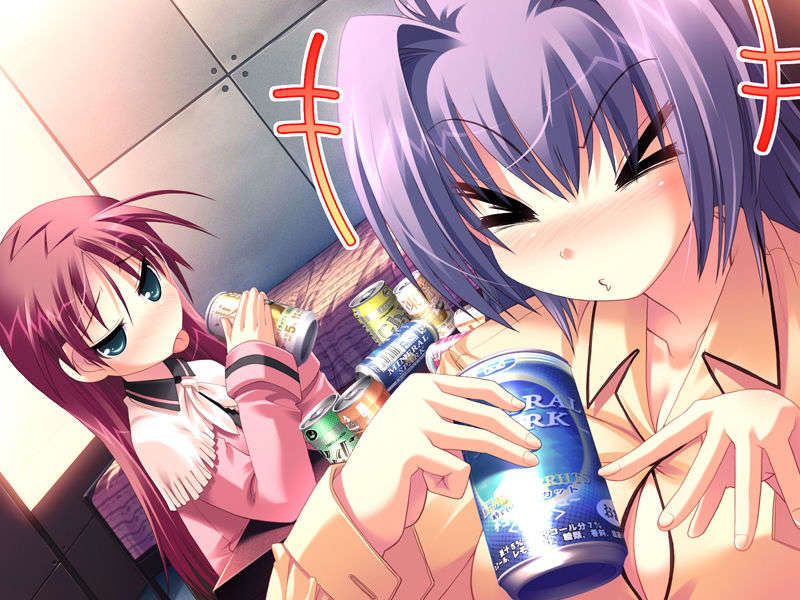 (18禁ゲームCG) [071026][SkyFish]はるかぜどりに、とまりぎを 442/680 