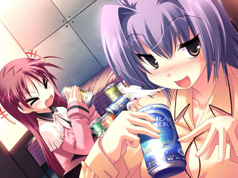 (18禁ゲームCG) [071026][SkyFish]はるかぜどりに、とまりぎを 443/680 