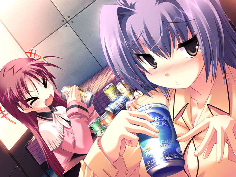 (18禁ゲームCG) [071026][SkyFish]はるかぜどりに、とまりぎを 444/680 