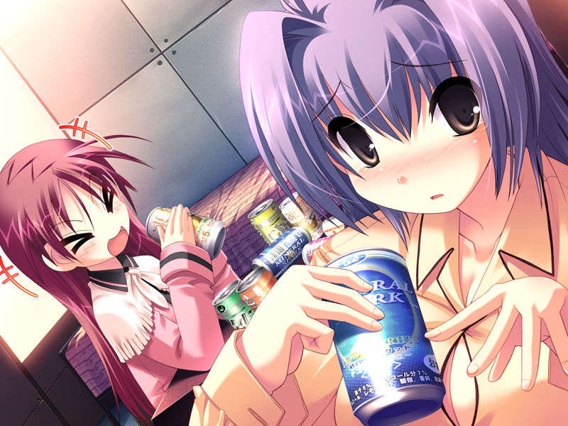 (18禁ゲームCG) [071026][SkyFish]はるかぜどりに、とまりぎを 446/680 