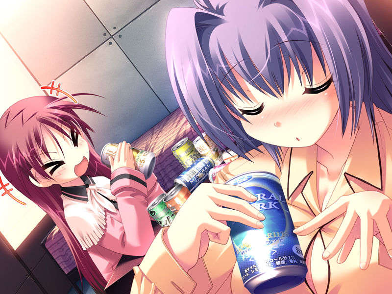 (18禁ゲームCG) [071026][SkyFish]はるかぜどりに、とまりぎを 447/680 