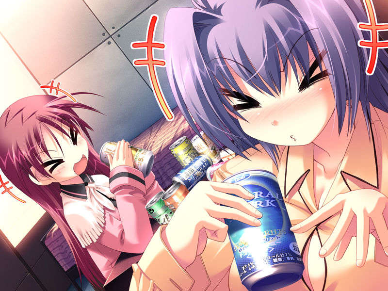 (18禁ゲームCG) [071026][SkyFish]はるかぜどりに、とまりぎを 448/680 