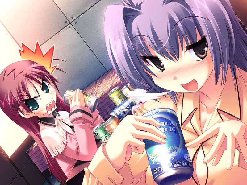 (18禁ゲームCG) [071026][SkyFish]はるかぜどりに、とまりぎを 449/680 