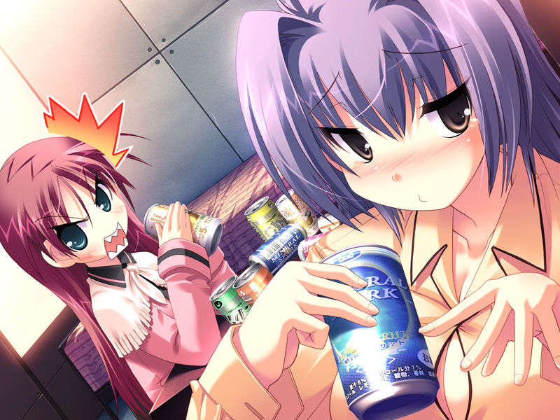 (18禁ゲームCG) [071026][SkyFish]はるかぜどりに、とまりぎを 450/680 