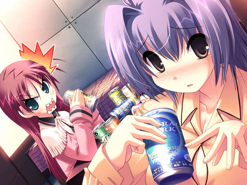 (18禁ゲームCG) [071026][SkyFish]はるかぜどりに、とまりぎを 452/680 