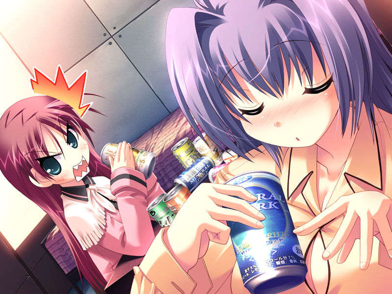 (18禁ゲームCG) [071026][SkyFish]はるかぜどりに、とまりぎを 453/680 