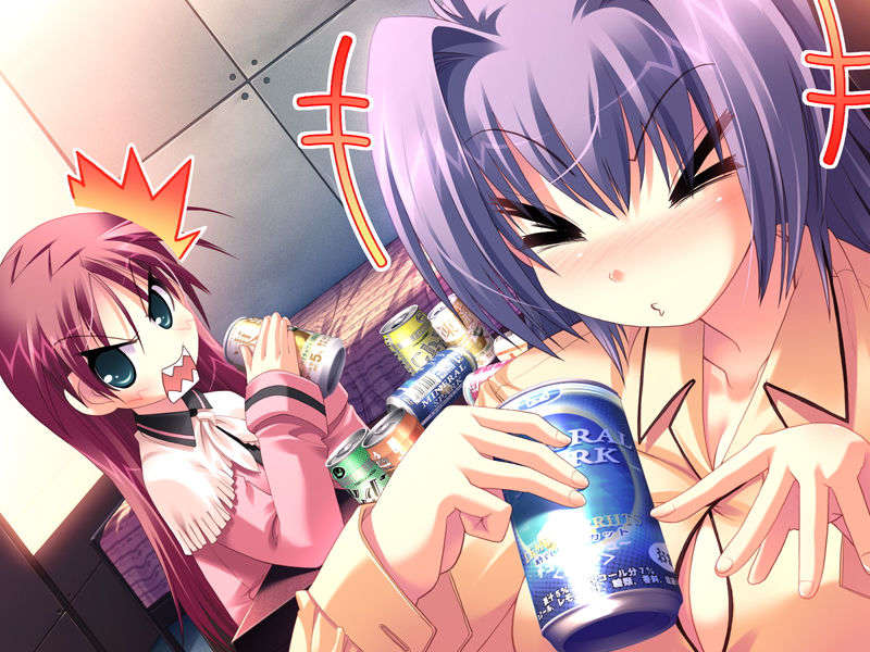 (18禁ゲームCG) [071026][SkyFish]はるかぜどりに、とまりぎを 454/680 