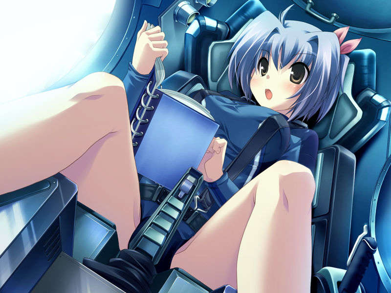 (18禁ゲームCG) [071026][SkyFish]はるかぜどりに、とまりぎを 462/680 