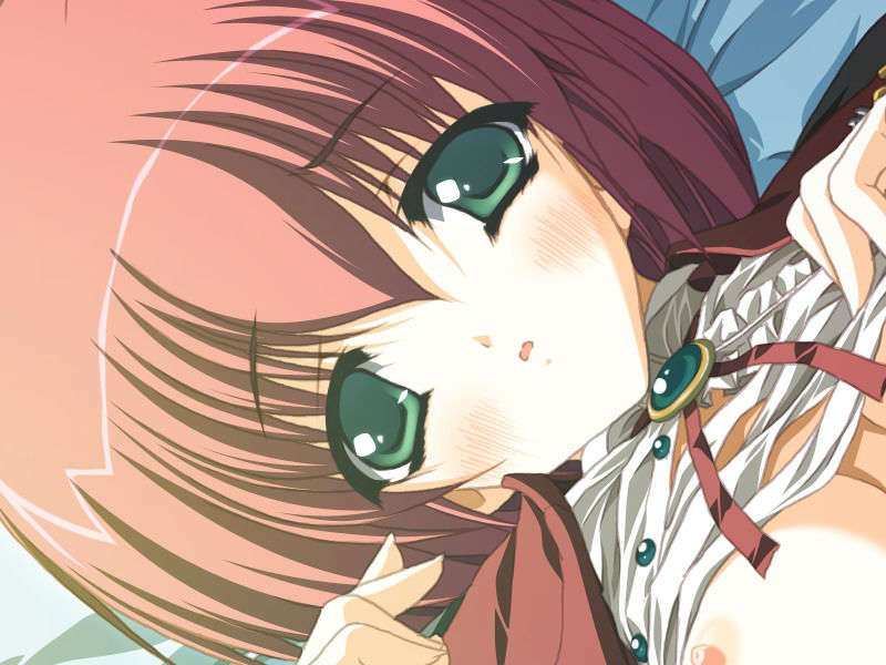 (18禁ゲームCG) [070928] お嬢様の為に鐘は鳴る 99/487 