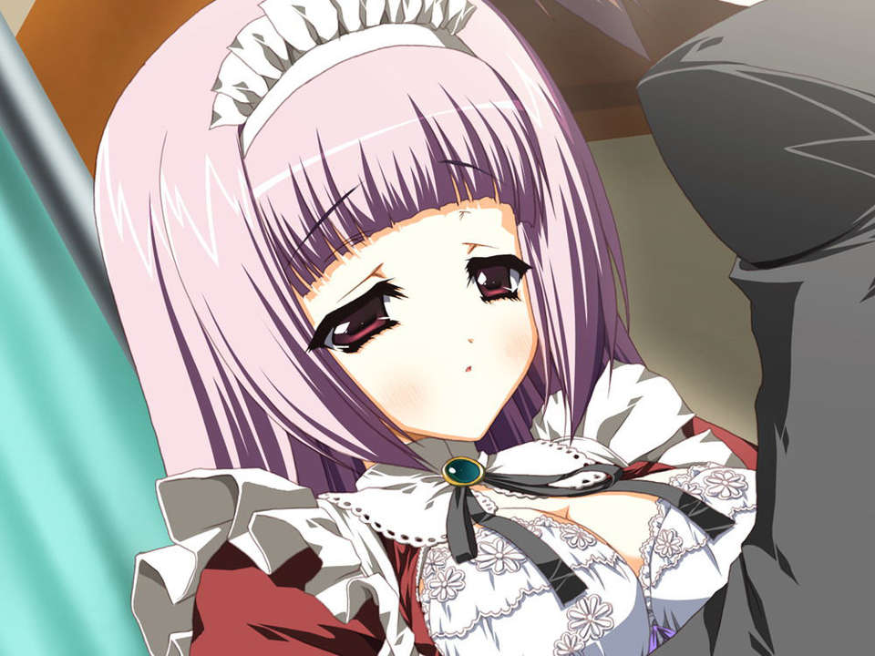 (18禁ゲームCG) [070928] お嬢様の為に鐘は鳴る 145/487 