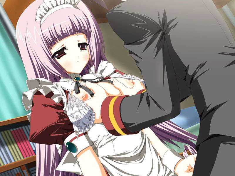 (18禁ゲームCG) [070928] お嬢様の為に鐘は鳴る 146/487 