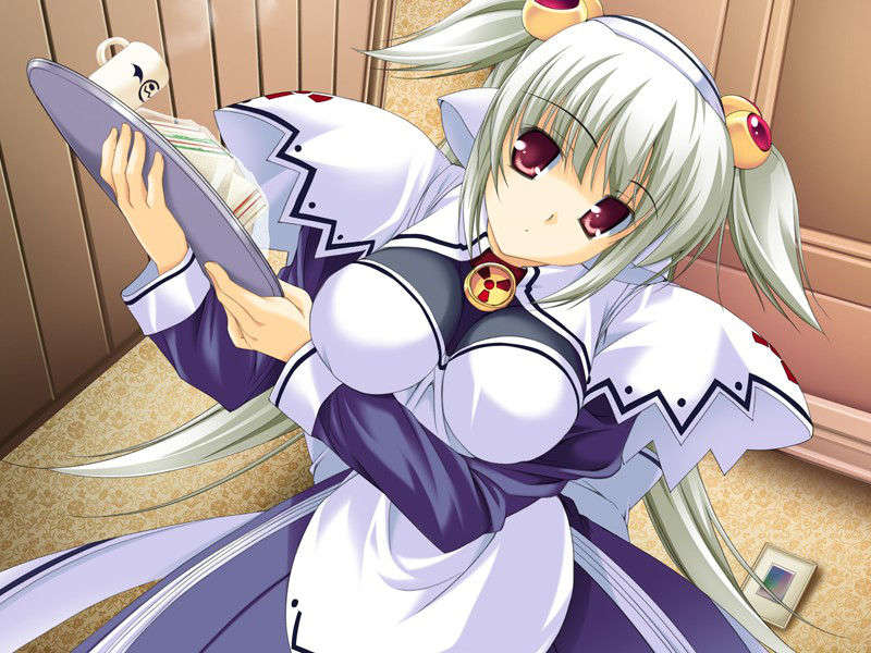 (18禁ゲームCG) [061124] おねがい ご主人さまっ! 255/492 