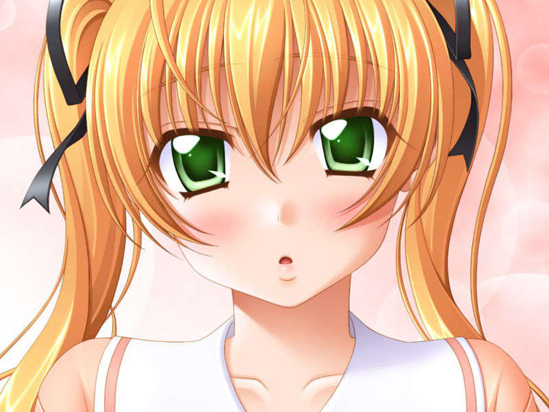 (18禁ゲームCG) [070223] エグザミネイター 1500/1739 