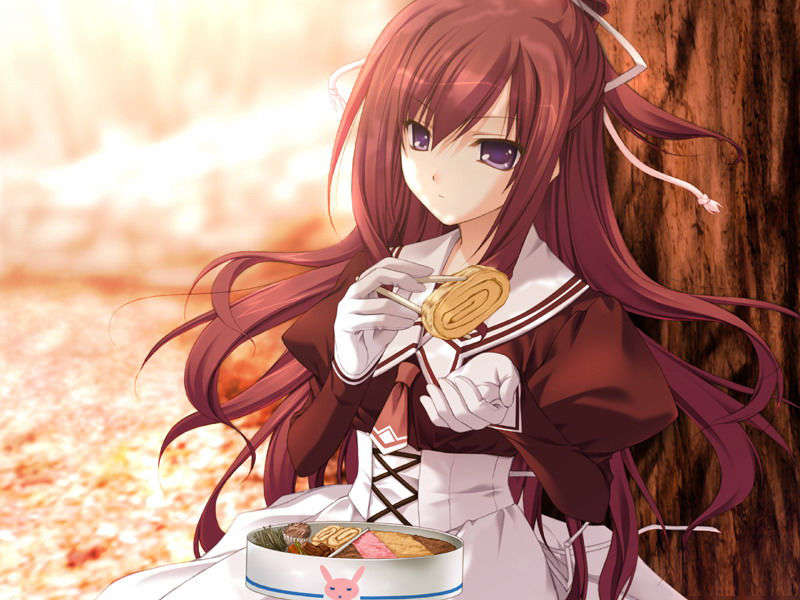 (18禁ゲームCG) [080425]11eyes~罪と罰と贖いの少女~ 872/1675 