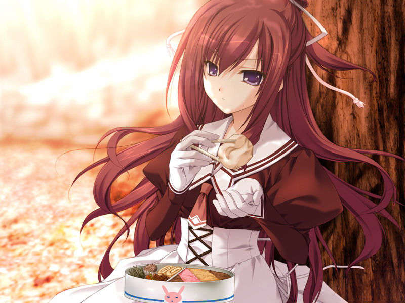 (18禁ゲームCG) [080425]11eyes~罪と罰と贖いの少女~ 880/1675 