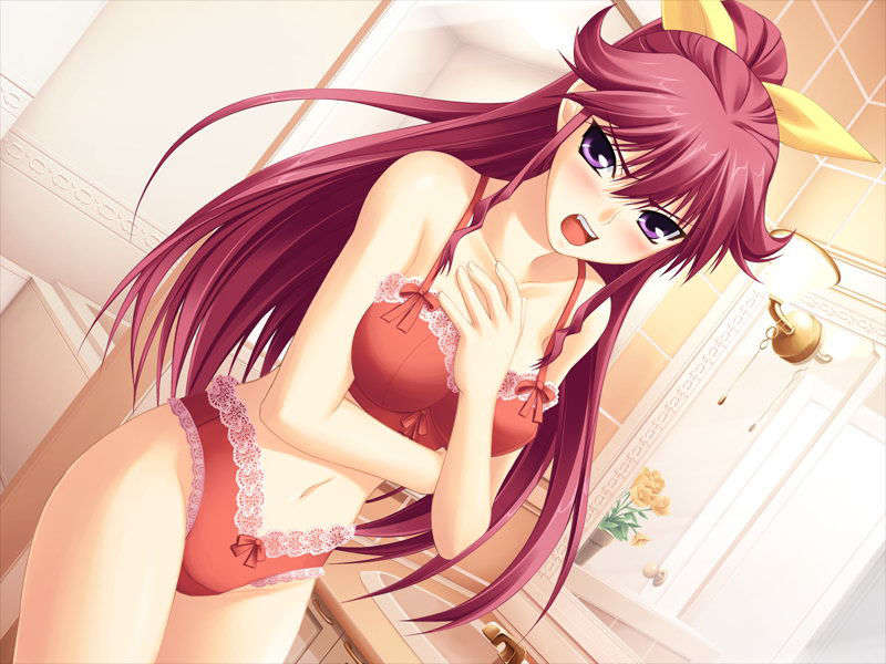 (18禁ゲームCG) [070525] 君が主で執事が俺で 300/517 