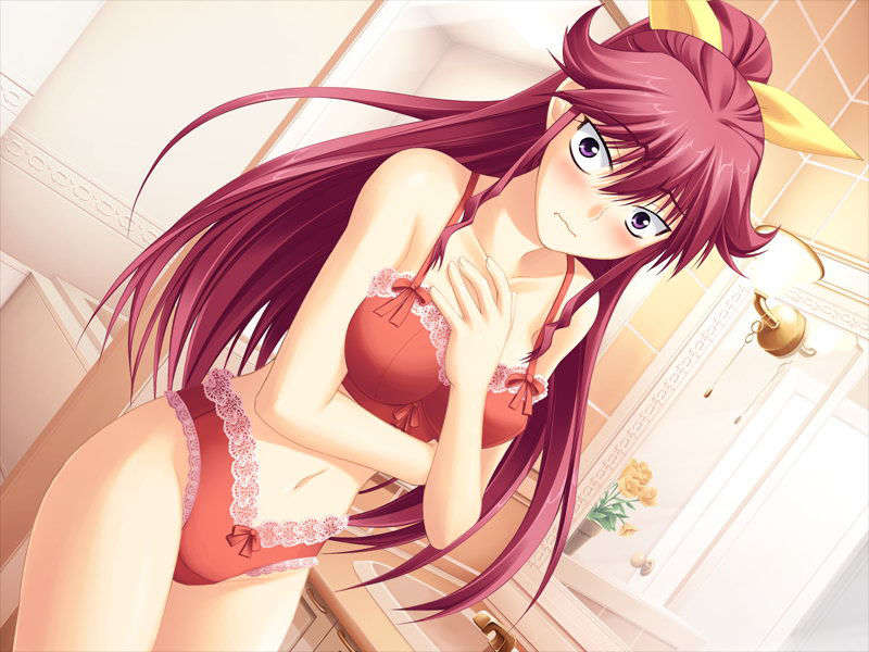 (18禁ゲームCG) [070525] 君が主で執事が俺で 301/517 