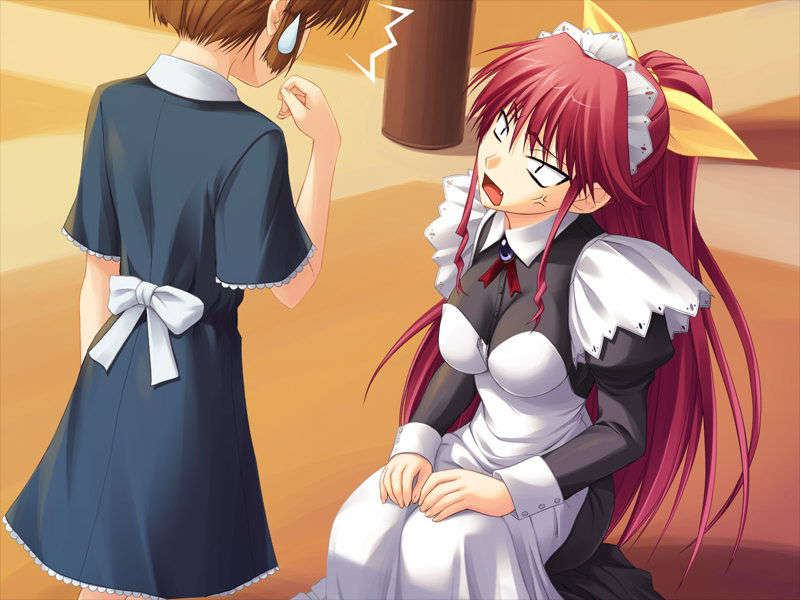 (18禁ゲームCG) [070525] 君が主で執事が俺で 310/517 