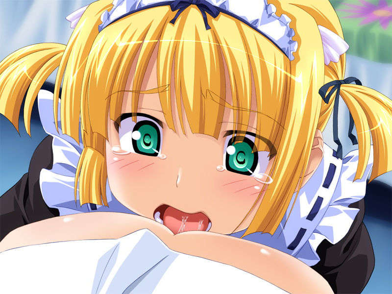 [FrontWing][空中幼彩]めがちゅ！ 307/378 