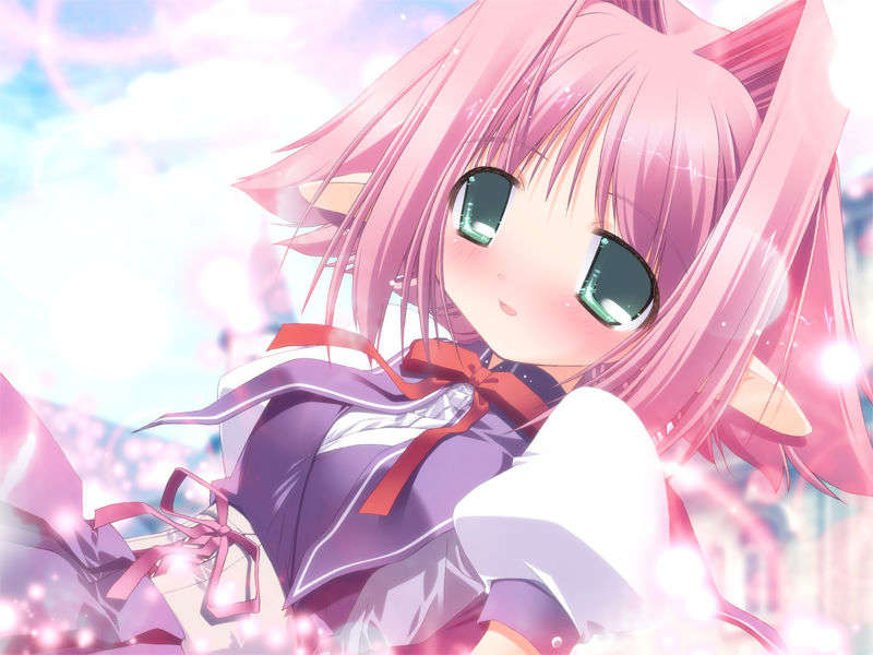 [080125] [ぱじゃまソフト] プリズム アーク らぶらぶマキシマム！ ～プリズム ハート2.5～ 291/400 