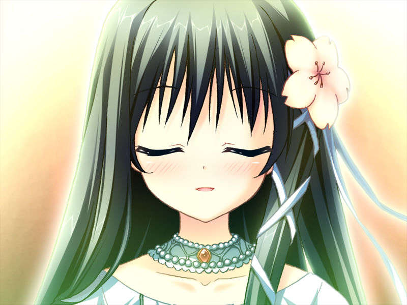 [090529]ステルラエクエス　コーデックス　～黃昏の姫騎士～ 457/611 