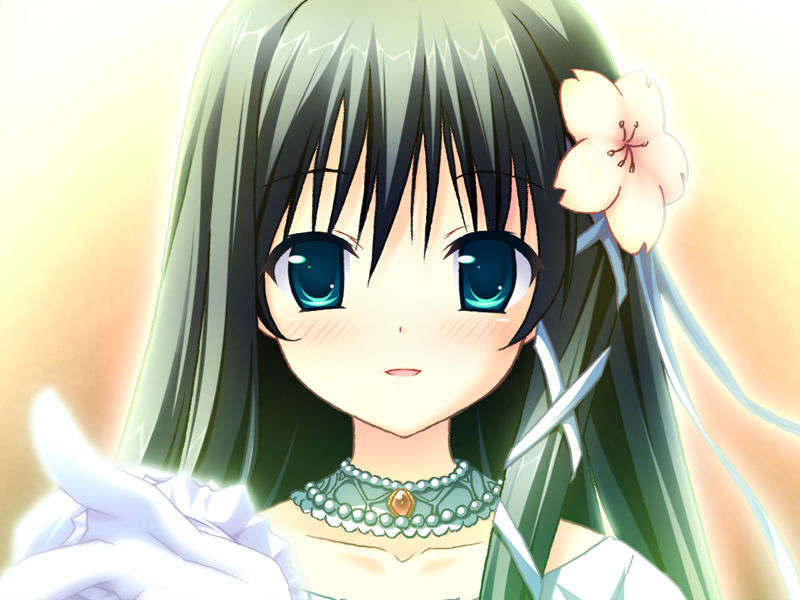 [090529]ステルラエクエス　コーデックス　～黃昏の姫騎士～ 458/611 