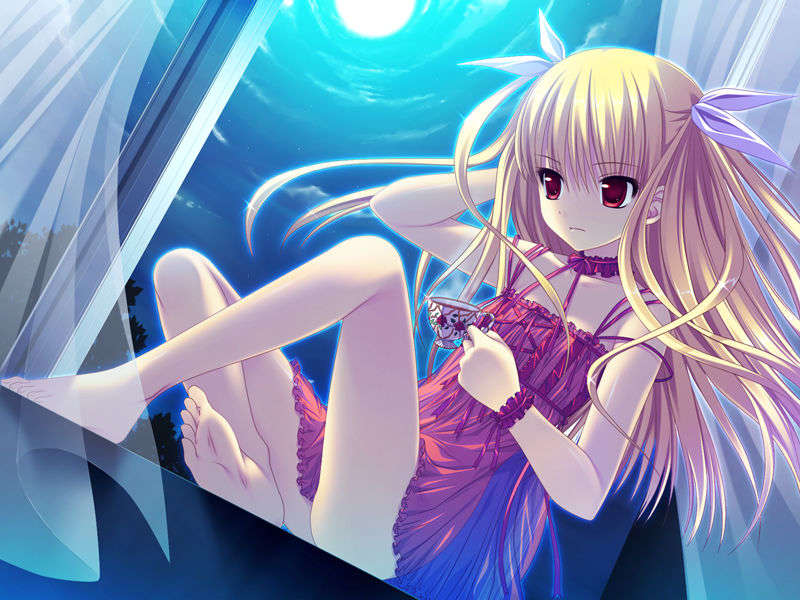 [090529]ステルラエクエス　コーデックス　～黃昏の姫騎士～ 460/611 