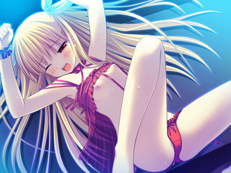 [090529]ステルラエクエス　コーデックス　～黃昏の姫騎士～ 471/611 