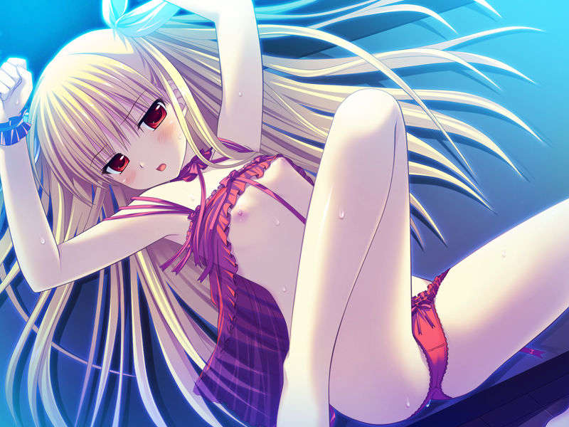 [090529]ステルラエクエス　コーデックス　～黃昏の姫騎士～ 472/611 