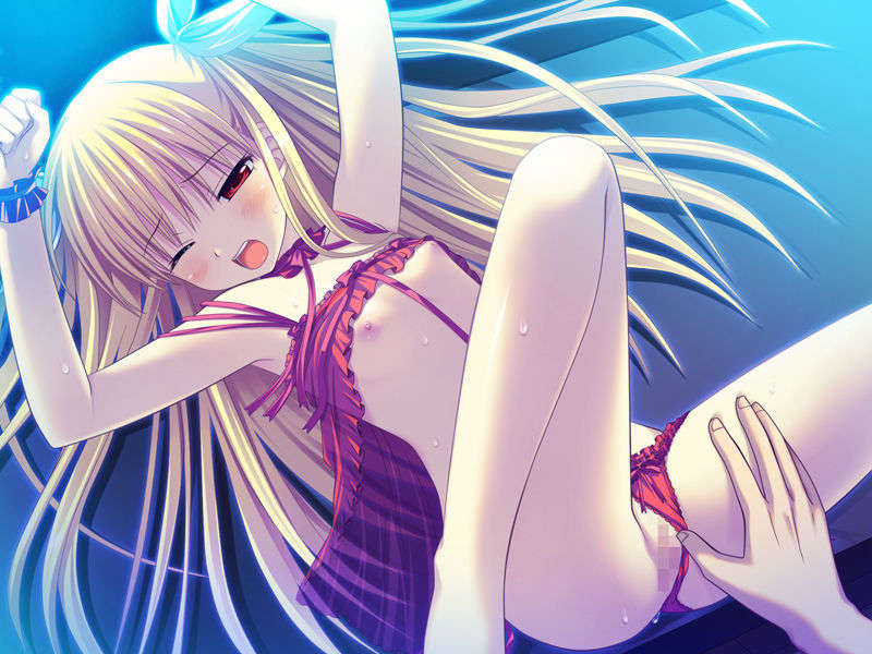 [090529]ステルラエクエス　コーデックス　～黃昏の姫騎士～ 474/611 