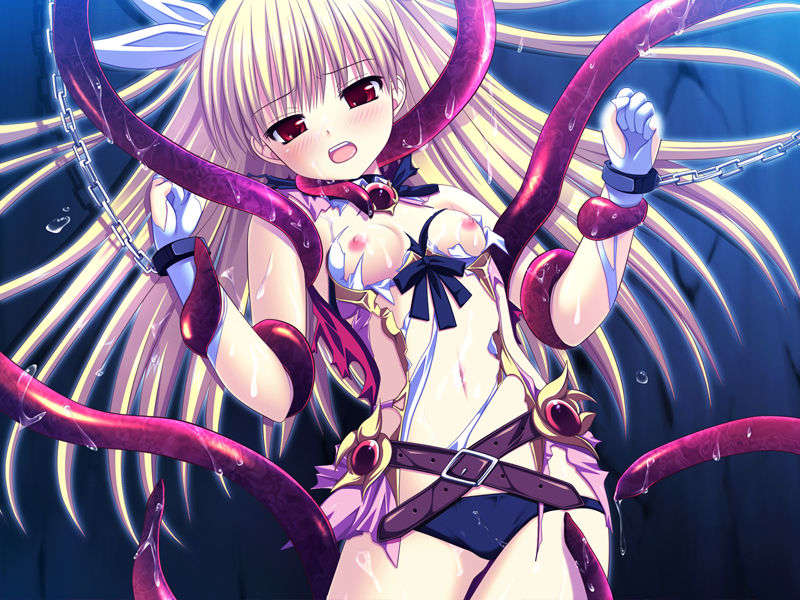 [090529]ステルラエクエス　コーデックス　～黃昏の姫騎士～ 506/611 