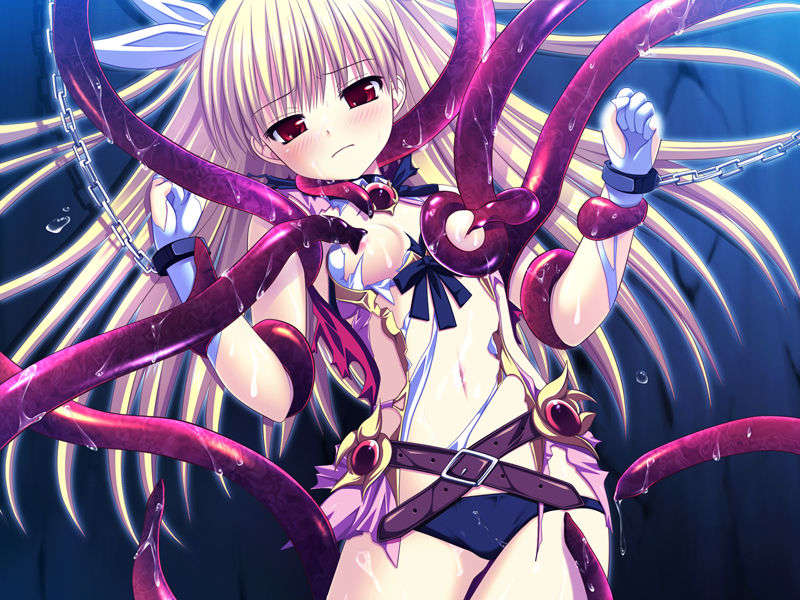 [090529]ステルラエクエス　コーデックス　～黃昏の姫騎士～ 507/611 