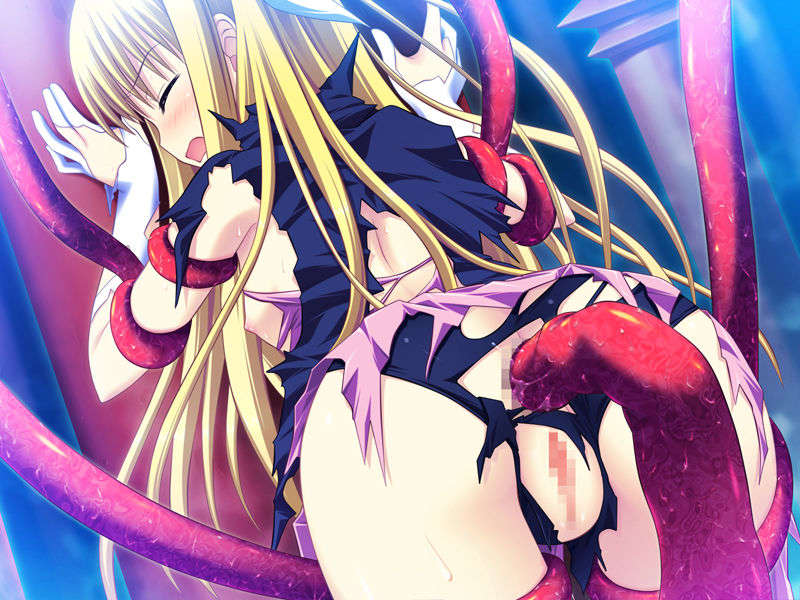 [090529]ステルラエクエス　コーデックス　～黃昏の姫騎士～ 513/611 