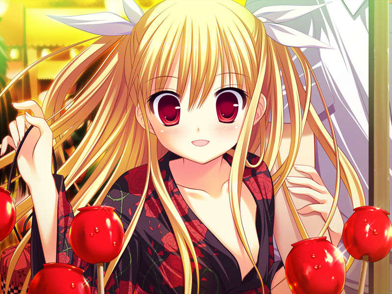 [090529]ステルラエクエス　コーデックス　～黃昏の姫騎士～ 548/611 