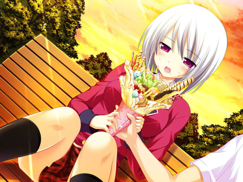 [090529]ステルラエクエス　コーデックス　～黃昏の姫騎士～ 591/611 