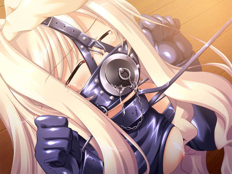 [081219]むすめーかー 初回限定版 418/979 