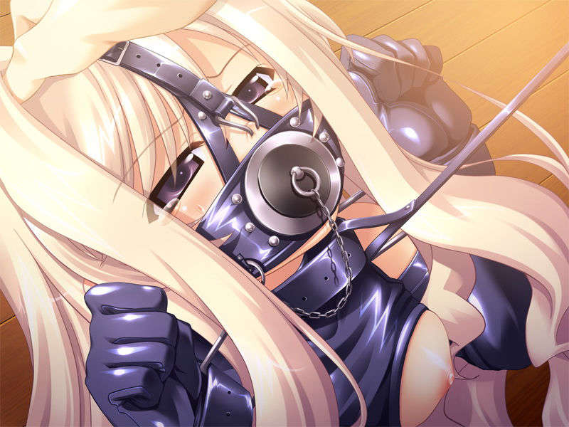 [081219]むすめーかー 初回限定版 420/979 