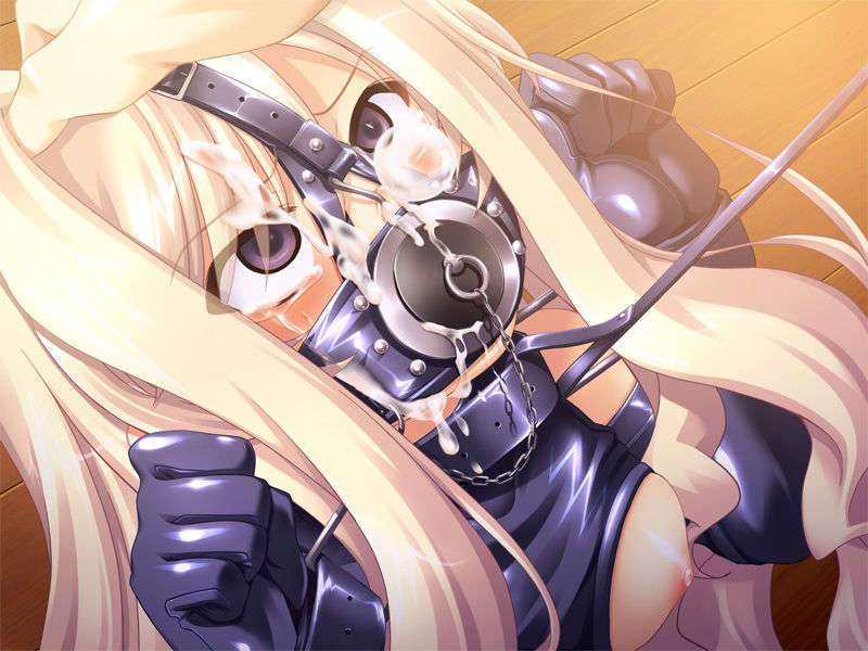 [081219]むすめーかー 初回限定版 424/979 