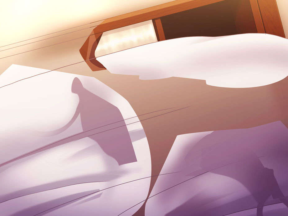 [081219]むすめーかー 初回限定版 519/979 